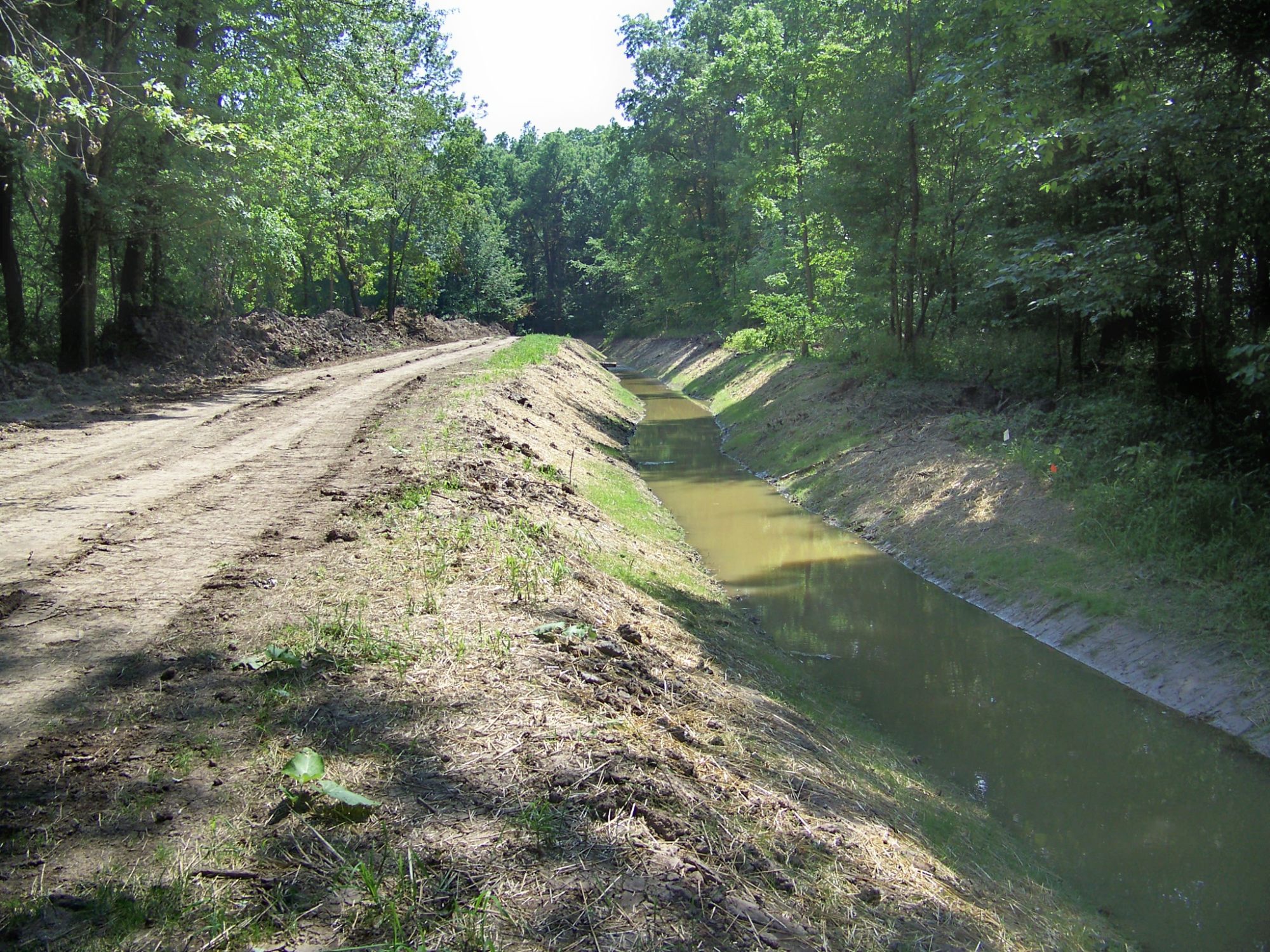 drainage ditch
